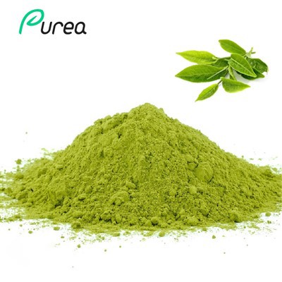 مسحوق مستخلص الشاي الأخضر السائب