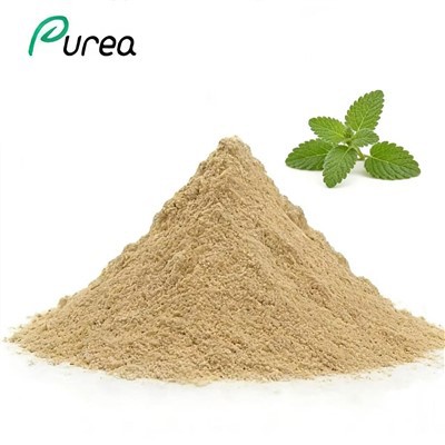 مسحوق مستخلص أوراق ميليسا أوفيسيناليس