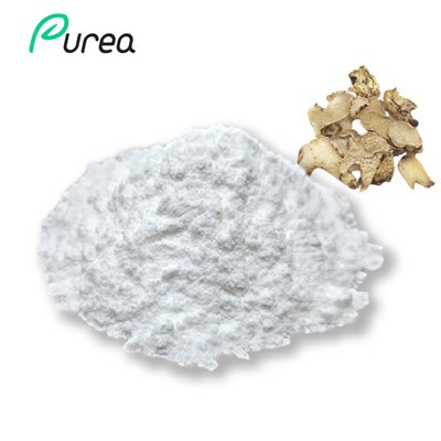 مسحوق مستخلص ريسفيراترول بوليغونوم كوسبيداتوم