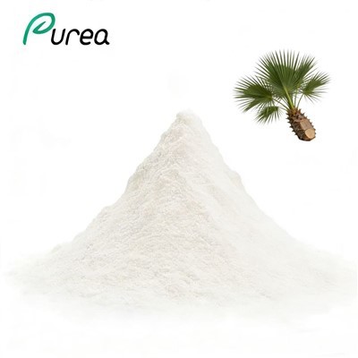 مسحوق مستخلص زيت البالميتو المنشاري